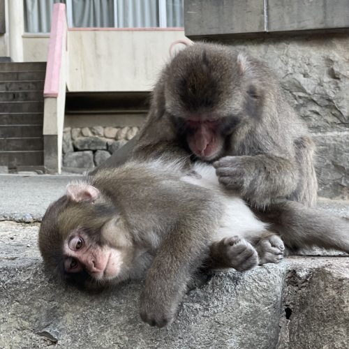 【アドベンチャークラブ】大分日帰り旅行