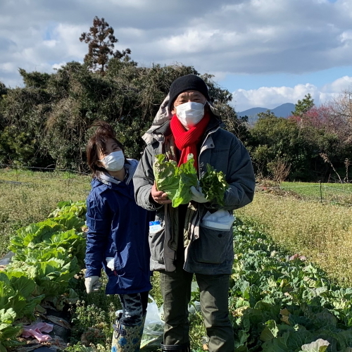 糸島ダーチャ農園　近況